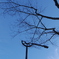 青空