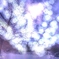 天使の森