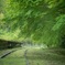037A3908-8F18-472F-9AC5-864904A3CD4B