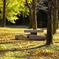 Yellow fall