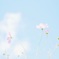 空に向かって