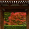 秋の寺院のお出迎えーⅡ