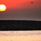 A sunrise