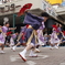 にいがた総おどり６