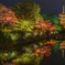 京都紅葉2019―⑩