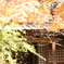 明月院