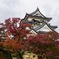 彦根城と紅葉
