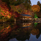 紅葉ライトアップ