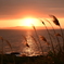 西表島に沈む夕日