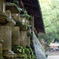 菩提寺の風景