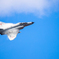 もふもふファントムｰ百里基地航空祭2019-04