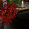紅の静寂