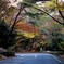 紅葉街道