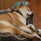 また明日も遊ぼう