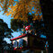 SDIM2499