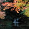 池のほとり