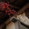 もみじ と 猫