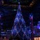 Disney Land christmas tree
