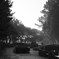 morning road