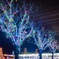 クリスマスにめがけて輝く