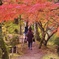 紅葉狩り