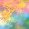 秋彩ふわり