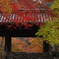 城跡の紅葉