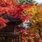 平林寺
