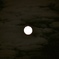 薄雲照らす月明かり