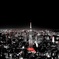 Tokyo City View