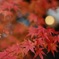 A1770819-0310-4E5E-B836-927C498556EC