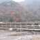 渡月橋