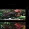 寿福寺