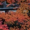 紅葉橋