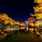 桜山公園