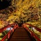 河鹿橋