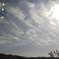 雲…