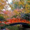 定番だけどやはり画になる朱い橋 - 北野天満宮