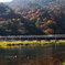 渡月橋