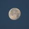 東京湾から夜明けの月