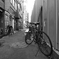 路地裏