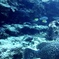 2年前の海