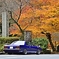 紅葉とスカイライン