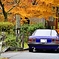 紅葉とスカイライン