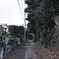 日本のとある小道