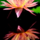 4S8A9380
