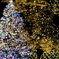 クリスマスツリー ①