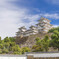 姫路城と青空