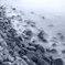 Floating Stones