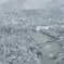 雪が降る降る